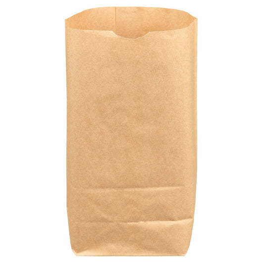 Papiertüte, 50er Pack, 23 x 25 cm, (B x H), neuw.