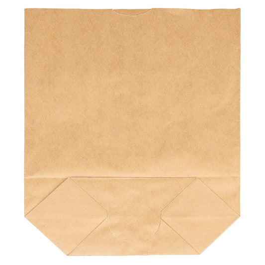 Papiertüte, 50er Pack, 23 x 25 cm, (B x H), neuw.