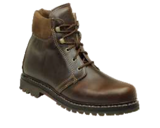 Steinkogler Bromberg, Herren