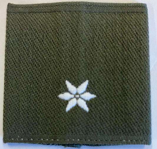 Dienstgradschlaufe Gefreiter